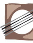 Info de Escuela Municipal Música